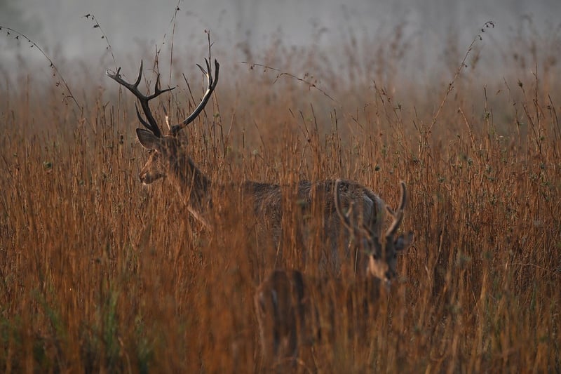 Nature Conservation